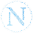 NAM COIN