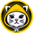 Cat in Hoodie