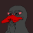 Dodo the Black Swan