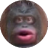 Monkecoin