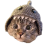 Shark Cat