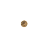 Camly Coin