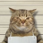 Jail Cat