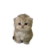 mao