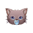 Baby Cat