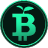 Green Bitcoin